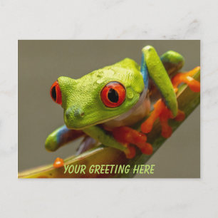 Costa Rica Red-Mit Augen Frog Personalisiert Postkarte
