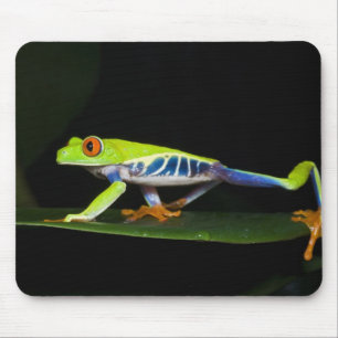 Costa Rica, Rotaugen-Laubfrosch (Agalychnis Mousepad