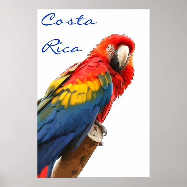 Costa Rica Scarlet Macaw Poster (Vorne)