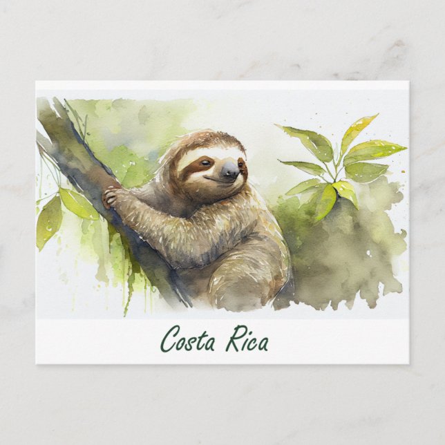 Costa Rica Sloth Postkarte (Vorderseite)
