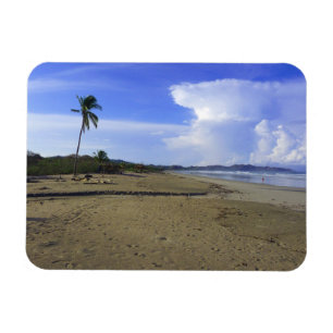 Costa Rica Strand mit Palmenbaum Foto Magnet