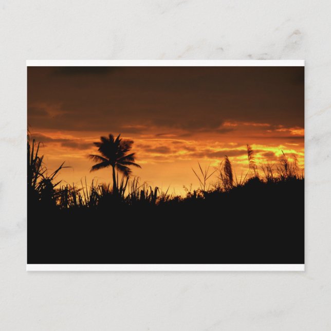 Costa Rica Sunset Postkarte (Vorderseite)