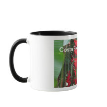 Costa Rica Tasse
