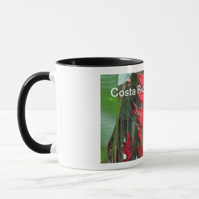 Costa Rica Tasse (Links)