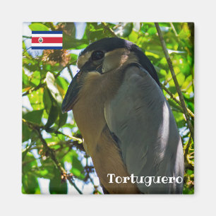 Costa Rica, Tortuguero - Bootsfahrer Magnet