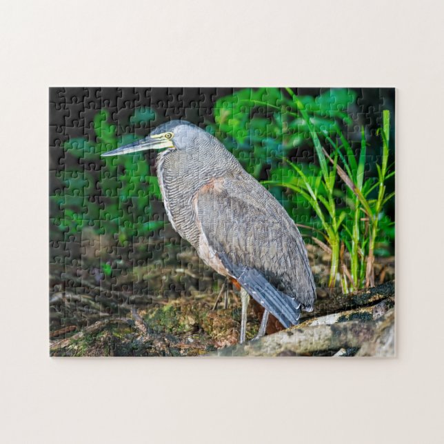 Costa Rica, Tortuguero - Heron Puzzle (Horizontal)