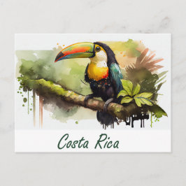 Costa Rica Toucan Postkarte