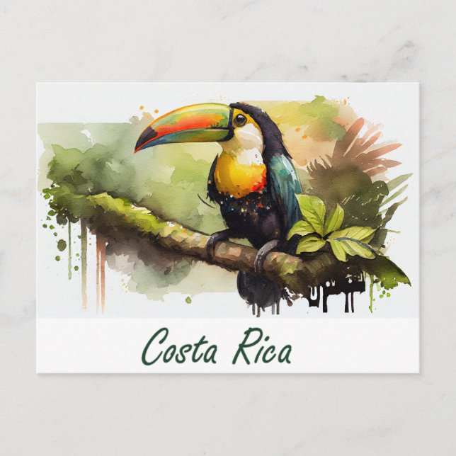 Costa Rica Toucan Postkarte (Vorderseite)