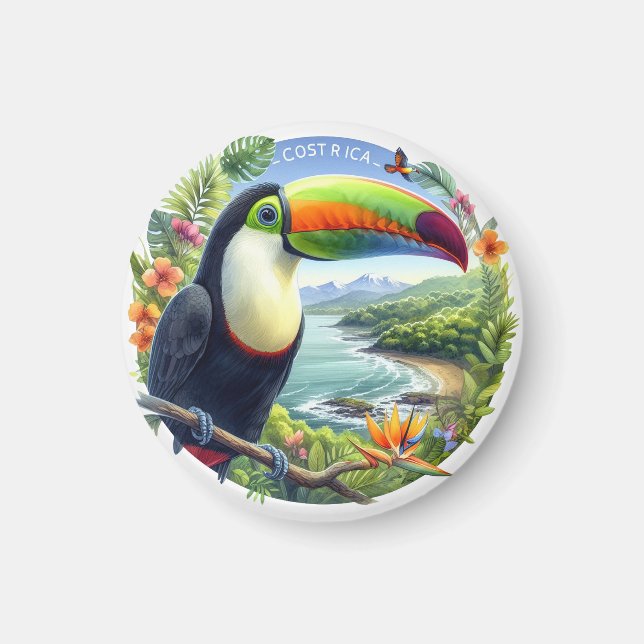 Costa Rica Toucans, Pura Vida Magnet (Vorne)