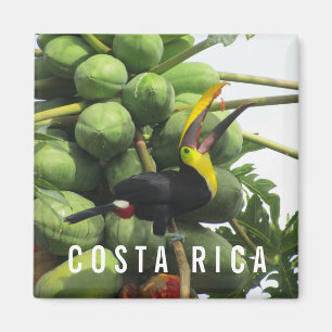 Costa Rica Tropical Touch Souvenir Magnet