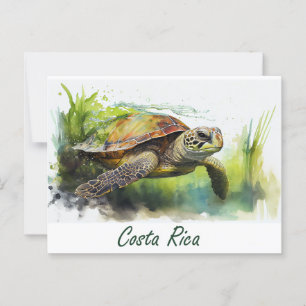 Costa Rica Turtle Postkarte