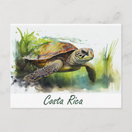 Costa Rica Turtle Postkarte