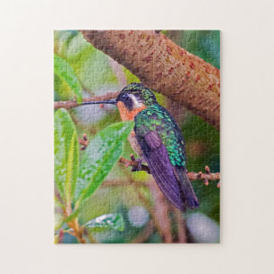 Costa Rica Vogel - Feuerschnabel-Hummingbird Puzzle