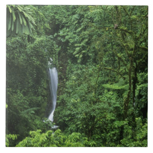 Costa Rica, Vulkangebiet Arenal, Hängebrücken Fliese