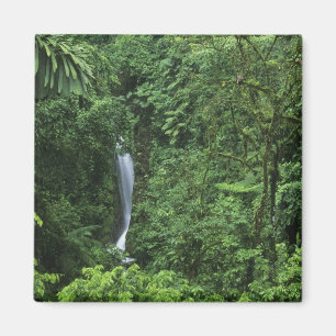 Costa Rica, Vulkangebiet Arenal, Hängebrücken Magnet