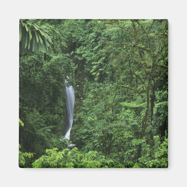 Costa Rica, Vulkangebiet Arenal, Hängebrücken Magnet (Vorne)