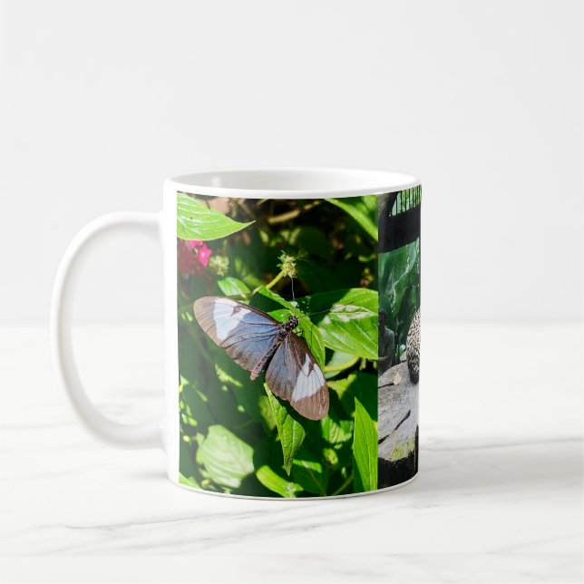 Costa Rica Wildlife Waterfall Tasse (Links)