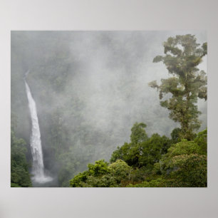 Costa Rica, Wolkenwald in den Bergen in der Nähe v Poster