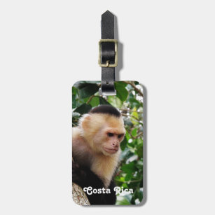 Costa Rican Affe Gepäckanhänger