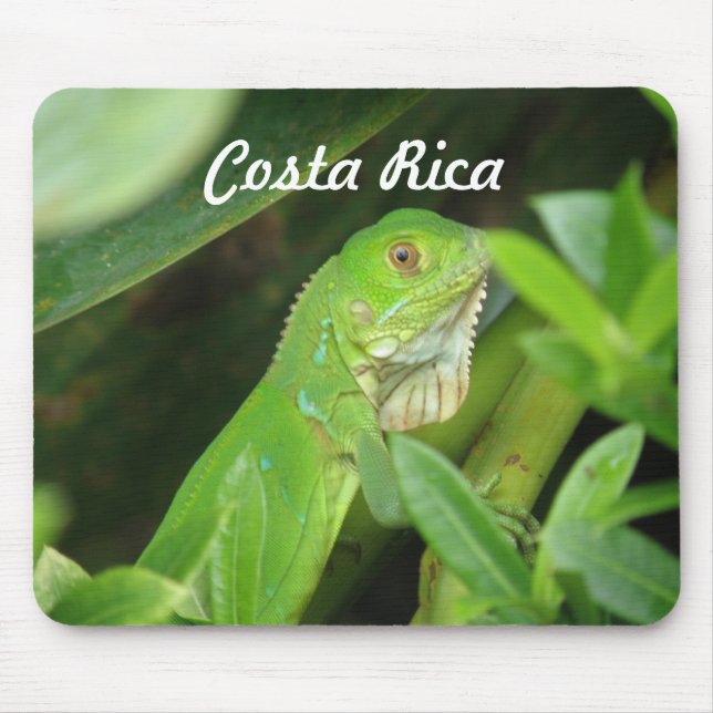 Costa Rican Eidechse Mousepad (Vorne)
