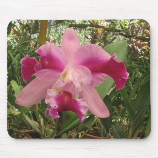 Costa Rican Orchidee Mousepad (Vorne)