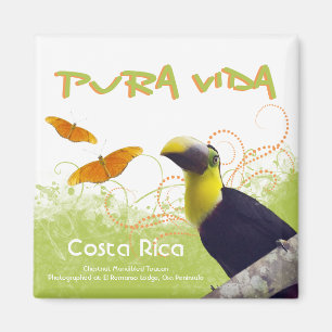 Costa Rican Pura Vida Magnet