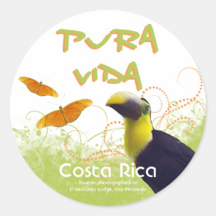 Costa Rican Pura Vida Toucan Stickers