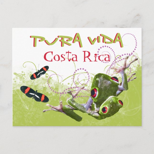Costa Rican Pura Vida Tree Frog Postcard Postkarte (Vorderseite)