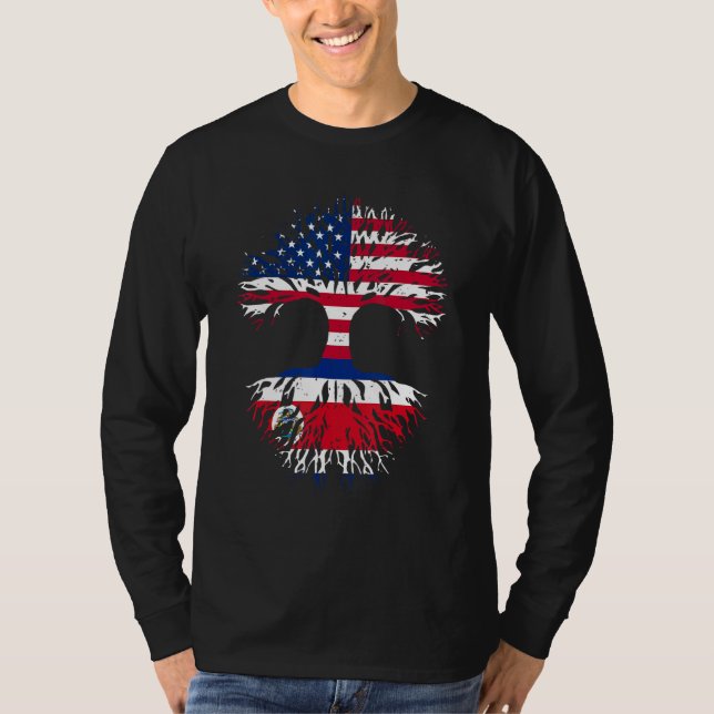 Costa Rican Roots American Grown USA Flag  Costa R T-Shirt (Vorderseite)
