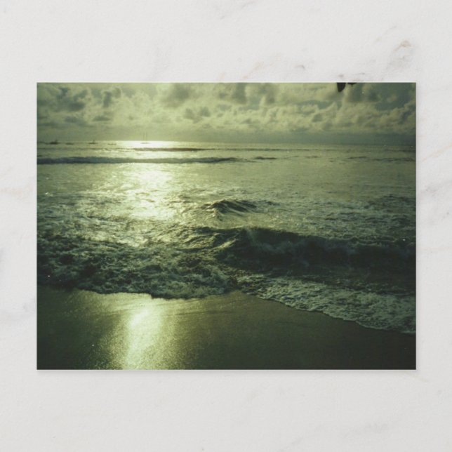 Costa Rican Sunset Postcard Postkarte (Vorderseite)