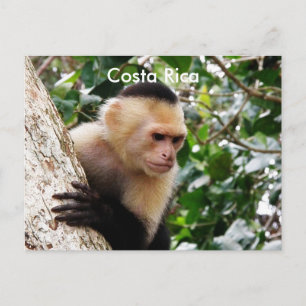 Costa-Ricaner Postkarte