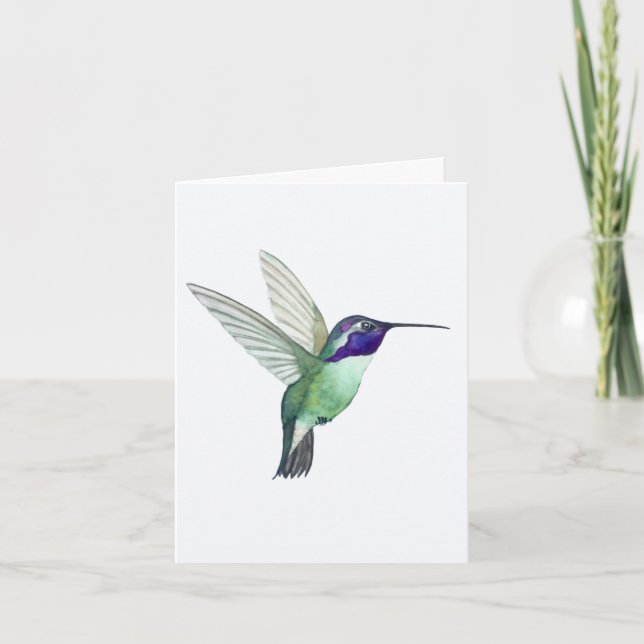 Costa's Hummingbird Grußkarte Karte (Vorderseite)