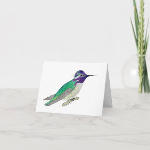 Costa's Hummingbird Karte