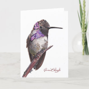 Costa's Hummingbird Note Card Dankeskarte