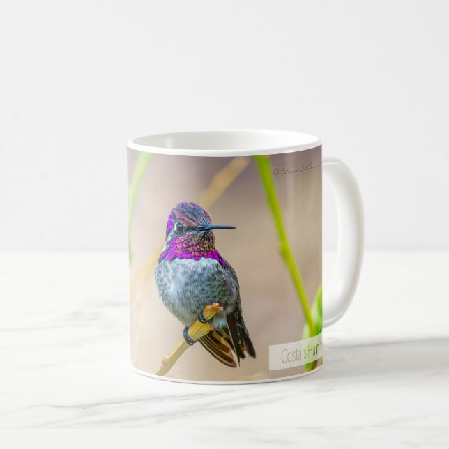 Costa's Hummingbird Psalm 145:4 KJV Kaffeetasse (VorderseiteRechts)