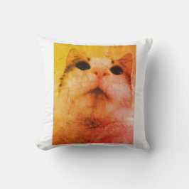 Cosy Cat Dreams Pillow Kissen