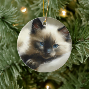 Cosy Companion Siamese Kitten Keramik Ornament