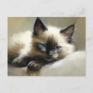 Cosy Companion Siamese Kitten Postkarte