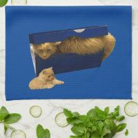 "Cosy Hideaway: The Ginger Cat in the Showbox"