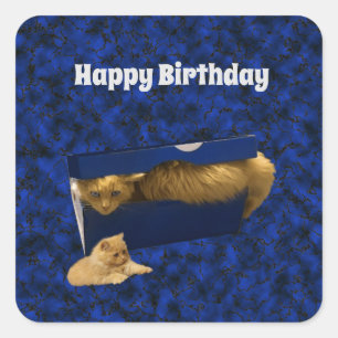 "Cosy Hideaway: The Ginger Cat in the Showbox" Quadratischer Aufkleber
