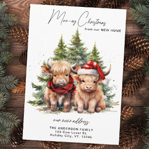 Cosy Highland Cow neue Adresse Frohe Weihnachten