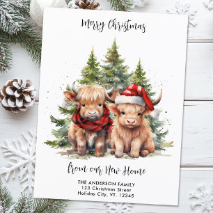 Cosy Highland Cow New Address Christmas Moving Feiertagspostkarte