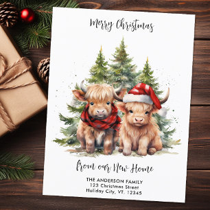 Cosy Highland Cow New Address Christmas Moving Postkarte