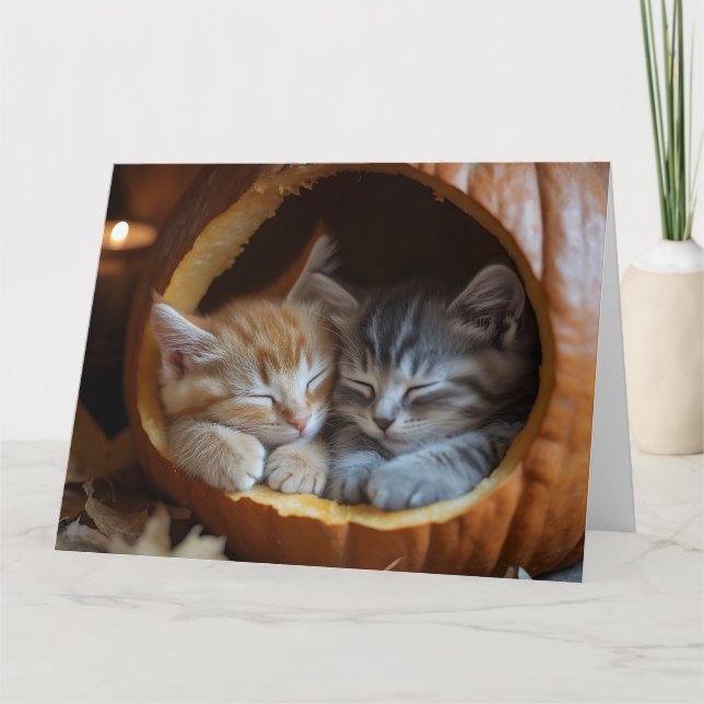 Cosy Kittens Snugggle in a Pumpkin Karte (Vorderseite)