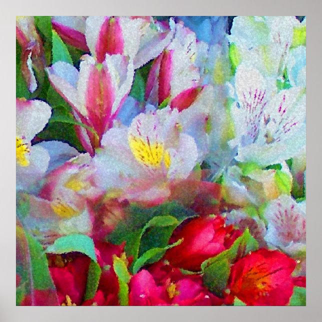 Côte d'Azur Poster (Vorne)