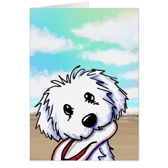 Coton de Tulear (Vorne)