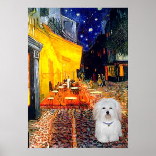 Coton de Tulear 4b - Café Poster