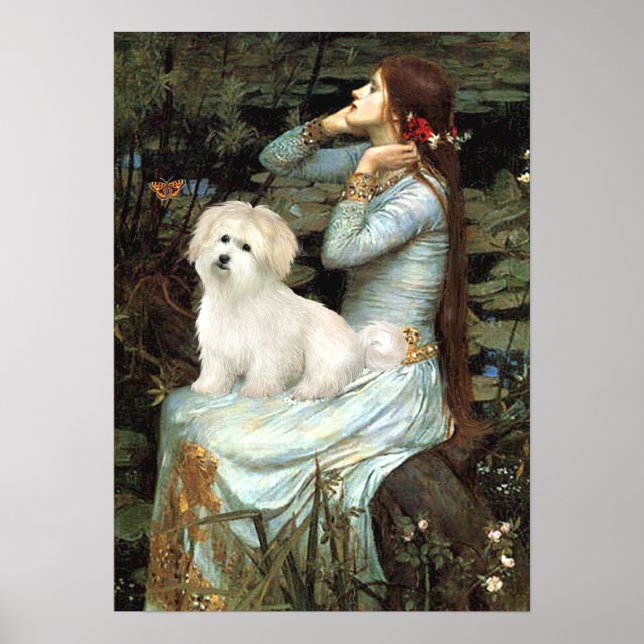 Coton de Tulear 7 - Ophelia Sitzplatz Poster (Vorne)