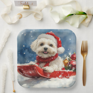 Coton De Tulear auf Schlitten Lass es schneien Wei Pappteller