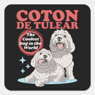 Coton de Tulear Cooler Hund   Coton de Tulears Quadratischer Aufkleber